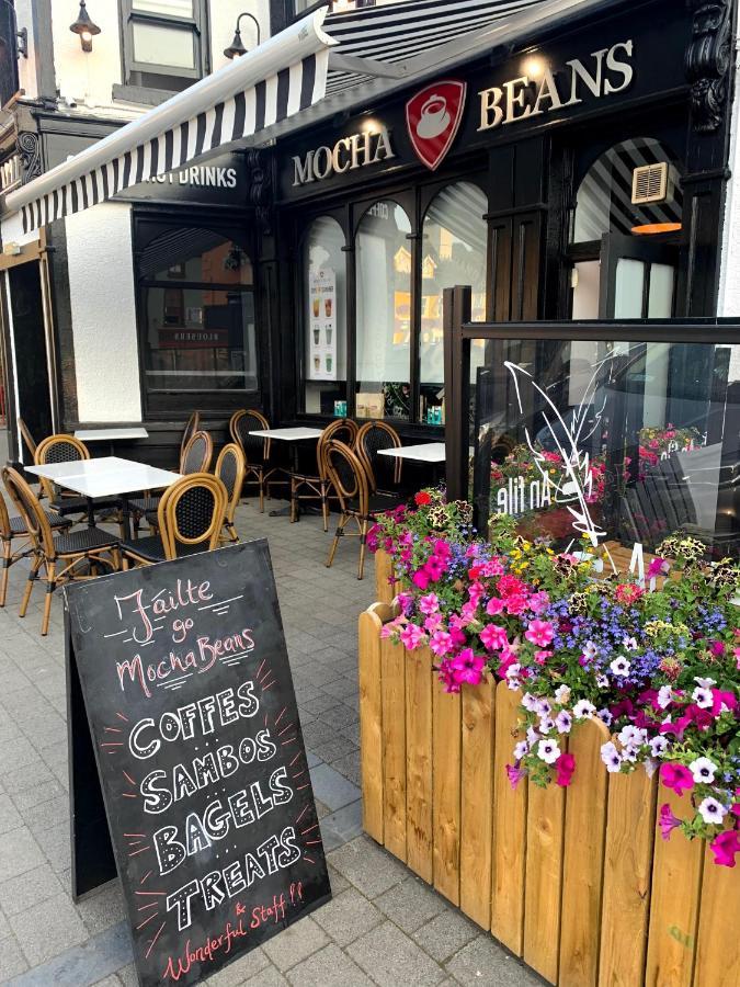 Mocha Beans Westport住宿加早餐旅馆 外观 照片